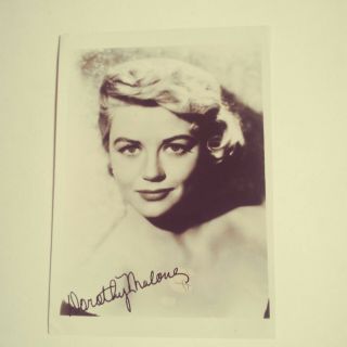 Dorothy Malone Autographed Publicity 5 X 7 Photograph