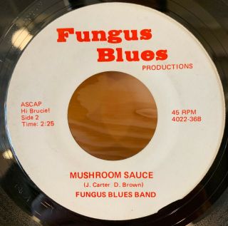 Private Gospel Funk 45 Fungus Blues Band - Funky 