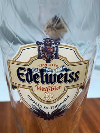 2 Edelweiss WeiBber Hofbrau Kaltenhausen Weighted Pilsner Beer Glass 16 oz Pint 2