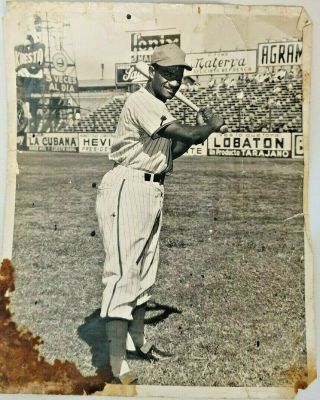 1950s Photo Cuban Habana Lions Baseball Pedro Formental Rfm Cuba