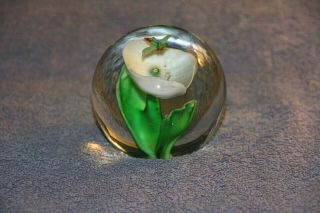 Vintage Glass Paperweight With Flower And Humming Bird