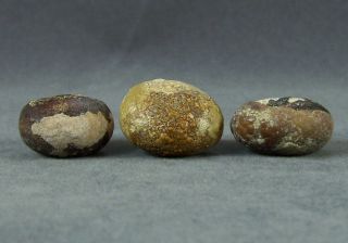 3 Authentic Llama Bezoar Stones 7.  5 Gm Guaranteed Andean Pearls C590