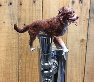 Australian Shepherd Dog Beer Keg Tap Handle Kegerator Knob Pull Akc Breeder