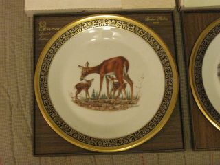 2 Lenox Boehm Woodland Wildlife Plates - Whitetail Deer & Beavers - USA 77 & 78 2