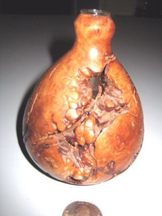 Wood Vase,  Hand Crafted Turned Burl Bud Vase 4 1/4 " With Glass Insert