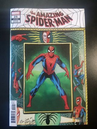 Spider - Man 25 Steve Ditko 1:100 Hidden Gem Variant