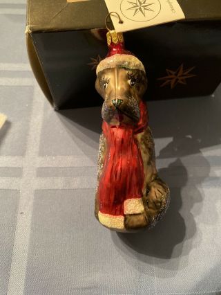 Christopher Radko " Winter Pooch " Dog In Santa Hat & Red Scarf Glass Ornament
