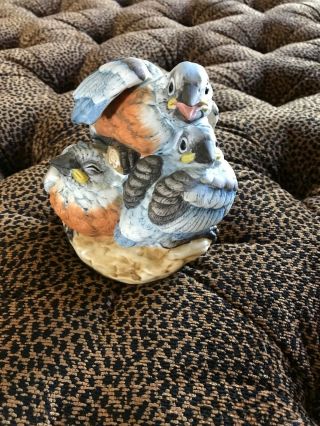 Vintage Andrea By Sadek Baby Bluebirds Porcelain Bird Figurine Hg11