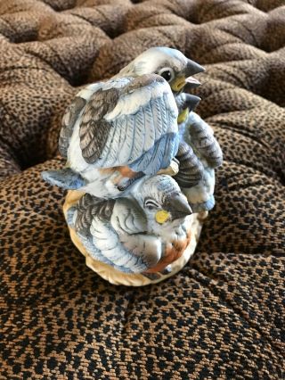 Vintage Andrea by Sadek BABY BLUEBIRDS Porcelain Bird Figurine HG11 3