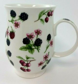Dunoon Mug By Jane Fern Wild Orchard Fruit Fine Bone China Made In England