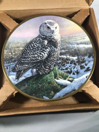 Morning Mist Plate Noble Owls Of America 9 3/8 " 1986 Owl John Seerey Lester