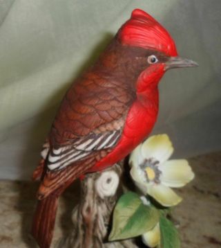 Ceramic Vermilion Flycatcher Figurine Red Bird Andrea Of Sadek Japan 8627 Signed 2