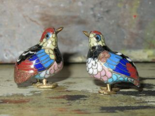Pair 2 Chinese Cloisonne In Gift Box Tiny Colorful Metal Bird Oriental