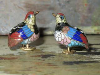 Pair 2 Chinese Cloisonne in Gift Box tiny colorful metal bird oriental 2