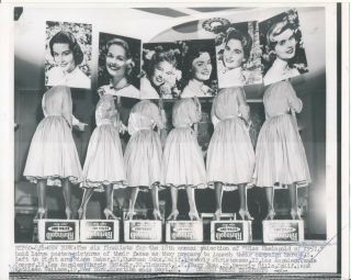 Miss Rheingold Of 1957 Finalists Orig.  Leggy Glamour Press Photo Face Signs Vv