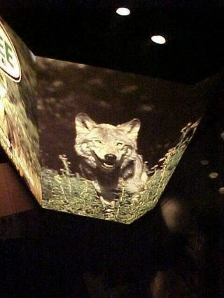 1960s GENESEE CREAM ALE Illuminated ADVERTISING BEER SIGN w Deer - Wolf - Owl 3
