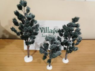Dept 56 Village Accessories - 3 Jack Pine Trees