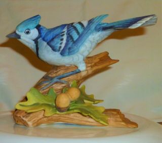 Andrea By Sadek Blue Jay Bird Figurine 9973 Porcelain No Chips