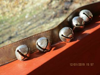 Brass Sleigh Bells Set Of 5 On A 17 " Leather Strap,  Rustic Farm Decor