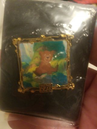 Disney Brother Bear Koda Dvd Release Limited Edition Trading Pin