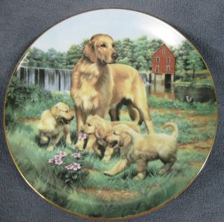 Golden Retrievers Collector Plate Classic Sporting Dogs Robert Christie Puppies