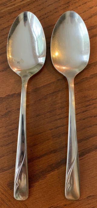 Oneida Ltd Oceanic Stainless Serving Spoons Set Of 2