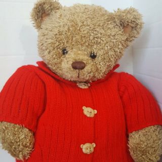 Hallmark Plush Teddy Bear W Red Sweater Mary Hamilton 18”