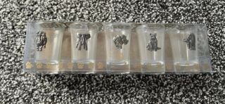 South African Animal Shot Glasses - The Big Five (set Of 5) Collectable