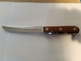 Vintage Case Xx Cap 207 - 6 10 1/4 " Fixed Blade Filet Style Stainless Steel Knife