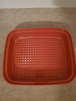Tupperware 1294 - 6 Red Season n’ Serve Meat Marinade Keeper w 1295 Frosted Seal 2