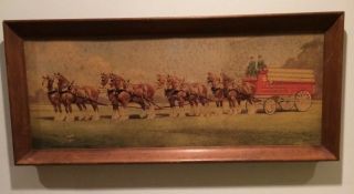 Budweiser Clydesdale Horses 1960s Framed Photograph 27x17