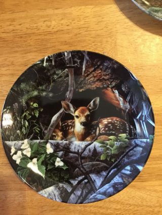 Woodland Innocents Fawns Collector Plate Kevin Daniel set of 4 3