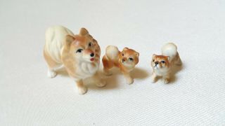 3 Vintage Miniature Pomeranian - Bone China - Dog Figurines Approx.  1 
