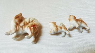 3 Vintage Miniature Pomeranian - Bone China - Dog Figurines Approx.  1 
