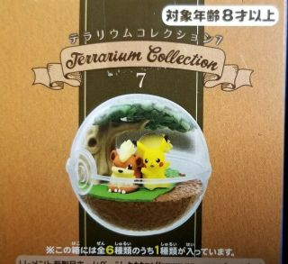 Pokemon Terrarium Vol.  7 - Toy Japan Nintendo Sword Shield - - S&h