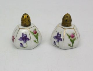 Vintage Porcelain & Brass Salt & Pepper Shakers Blue & Pink Floral Design Japan