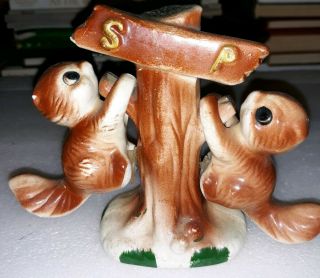 Vintage Ceramic Squirrel Salt And Pepper Shaker Shaker Set Hanging On A Tree.