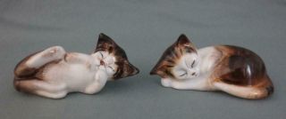 - 2 - Vintage Royal Doulton England Porcelain Kitten Cat Figurines 2579,  2581