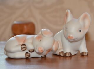 White Pig Piglets Salt & Pepper Shaker Set Adorable Bisque Art Pottery Vintage