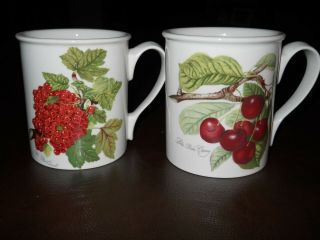 Portmeirion Pomona The Goddess Of Fruit 2 Cups Mugs Cherry Flower Red Currant