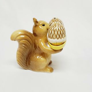 Decorative Acorn Salt And Pepper With Squirrel Holder