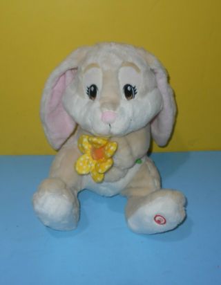 Seated Stuffed Plush 12 " You Are My Sunshine Singing Bunny Rabbit Holding Flower