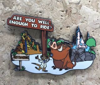 Timon And Pumbaa Wild About Safety Be Aware The Lion King Disney Pin 22556