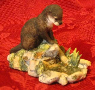 1994 Border Fine Arts From Scotland Otter Figurine " Reflection " Signed " Ayres "
