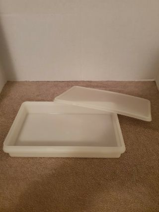 Vintage Tupperware 794 - 2 Bacon Deli Cheese Keeper With 795 Lid Shear 6 " X 11 "