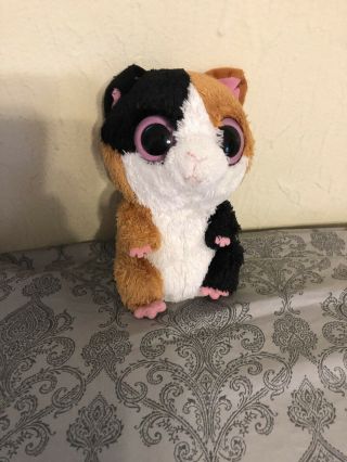 Ty Beannie Boo Boo Nibbles The Calico Guinea Pig 9” Solid Eyes 2011 Plush