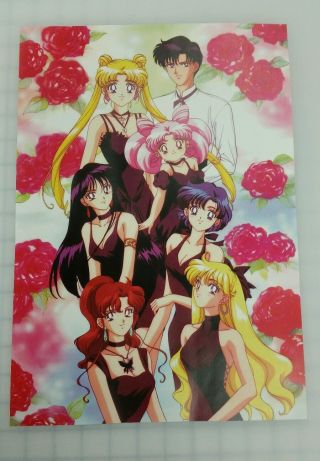 Sailor Moon Poster 11x17 Laminated,  Chibiusa,  Rei,  Minako,  Ami,  Makoto,  Usagi.