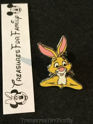Disney Pin Wdw Cast Lanyard Series 3 Winnie The Pooh Rabbit Head