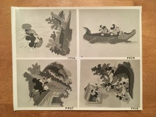 Walt Disney - 1930s Studio Animation Cels Photograph - Mickey Mouse