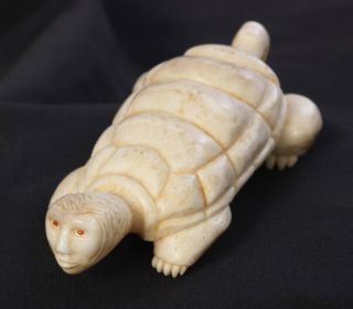 Iroquois Carving By Stan Hill Sr.  Transformation Turtle Carved From Antler 1980